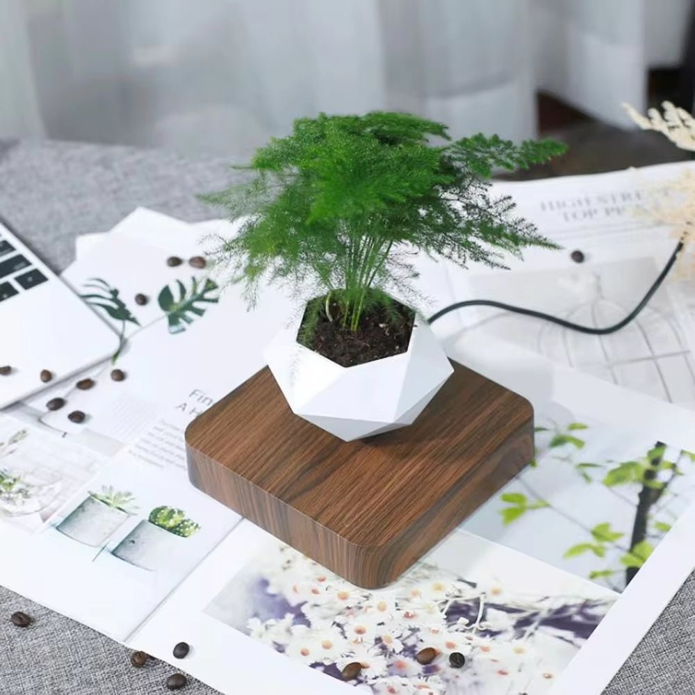Magic Levitating Bonsai Pot: Magnetic Floating Planters for Home Decor - Auvix