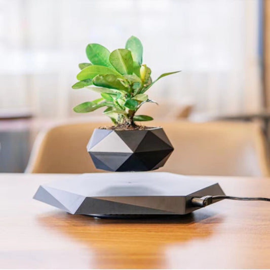 Magic Levitating Bonsai Pot: Magnetic Floating Planters for Home Decor - Auvix